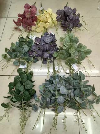 12叉欧洲金钱叶