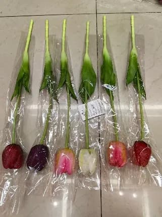 E-1-1保湿郁金香