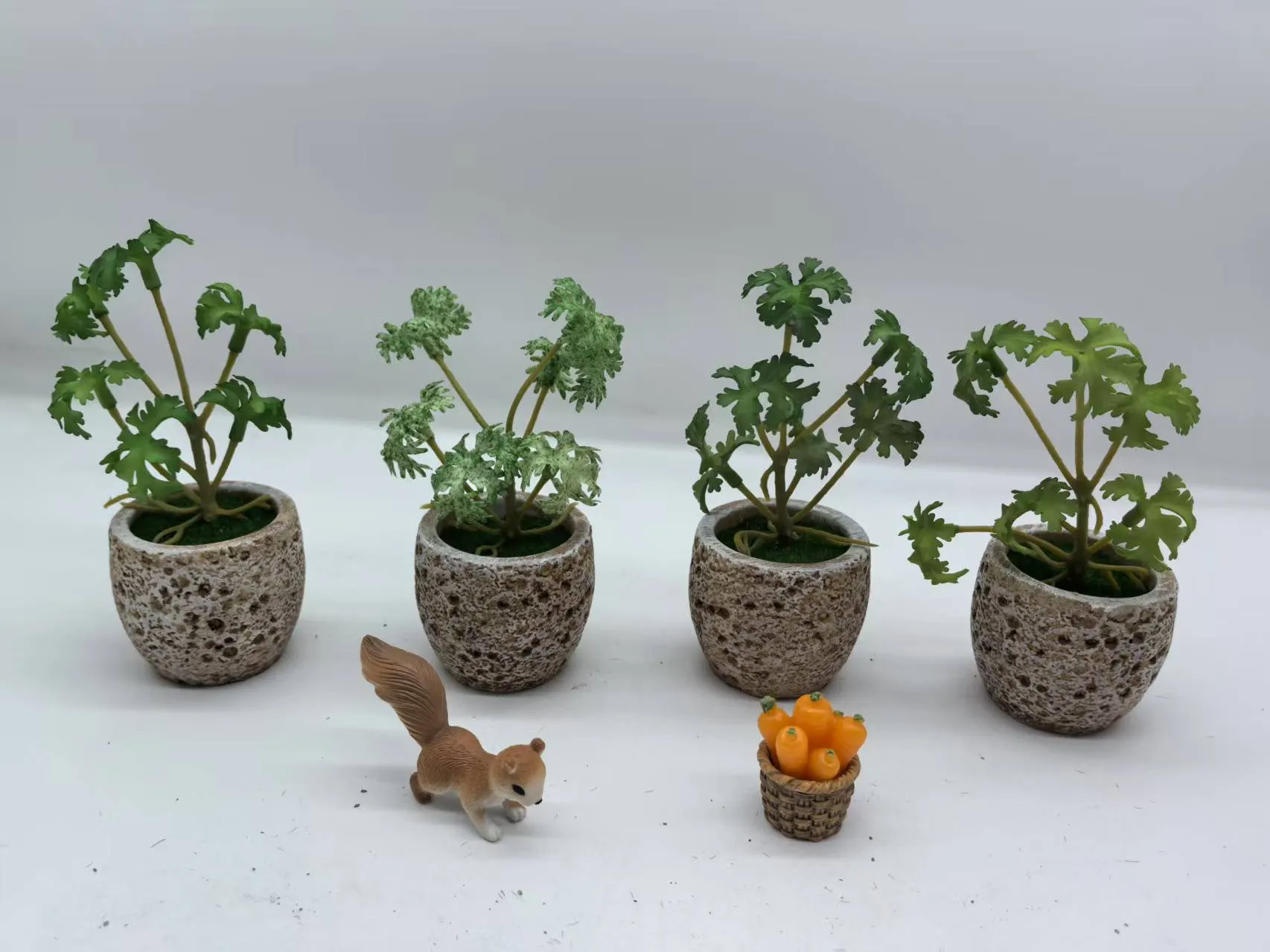 PZ-230024
皱叶椒草吹塑盆栽