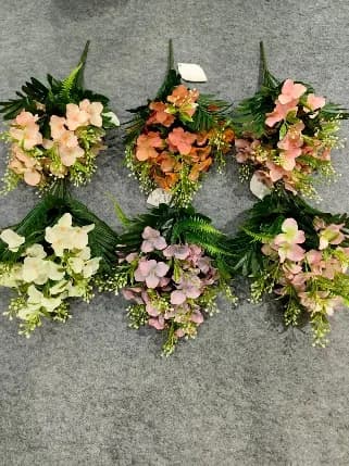 10叉彩虹长玫蕾