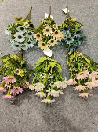 10叉裂纹八耳菊双色