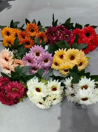 12头平头小角玫