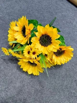 10头向日葵