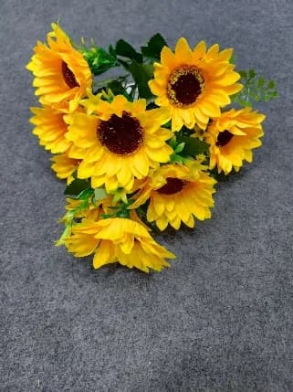 9头向日葵