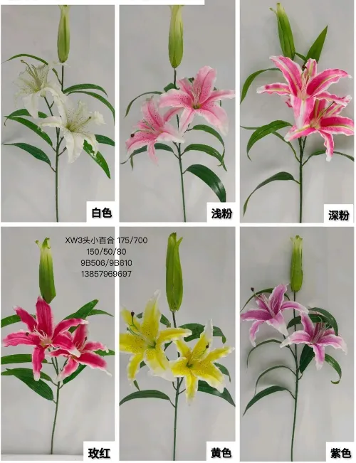 XW5叉9头3D大百合