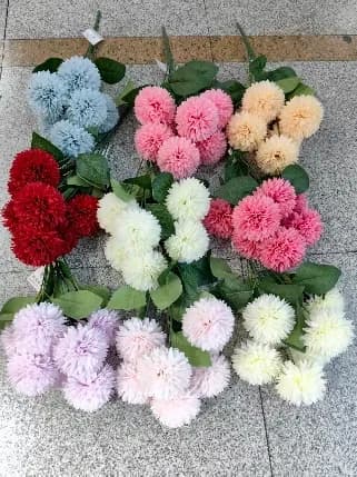 6叶樱花