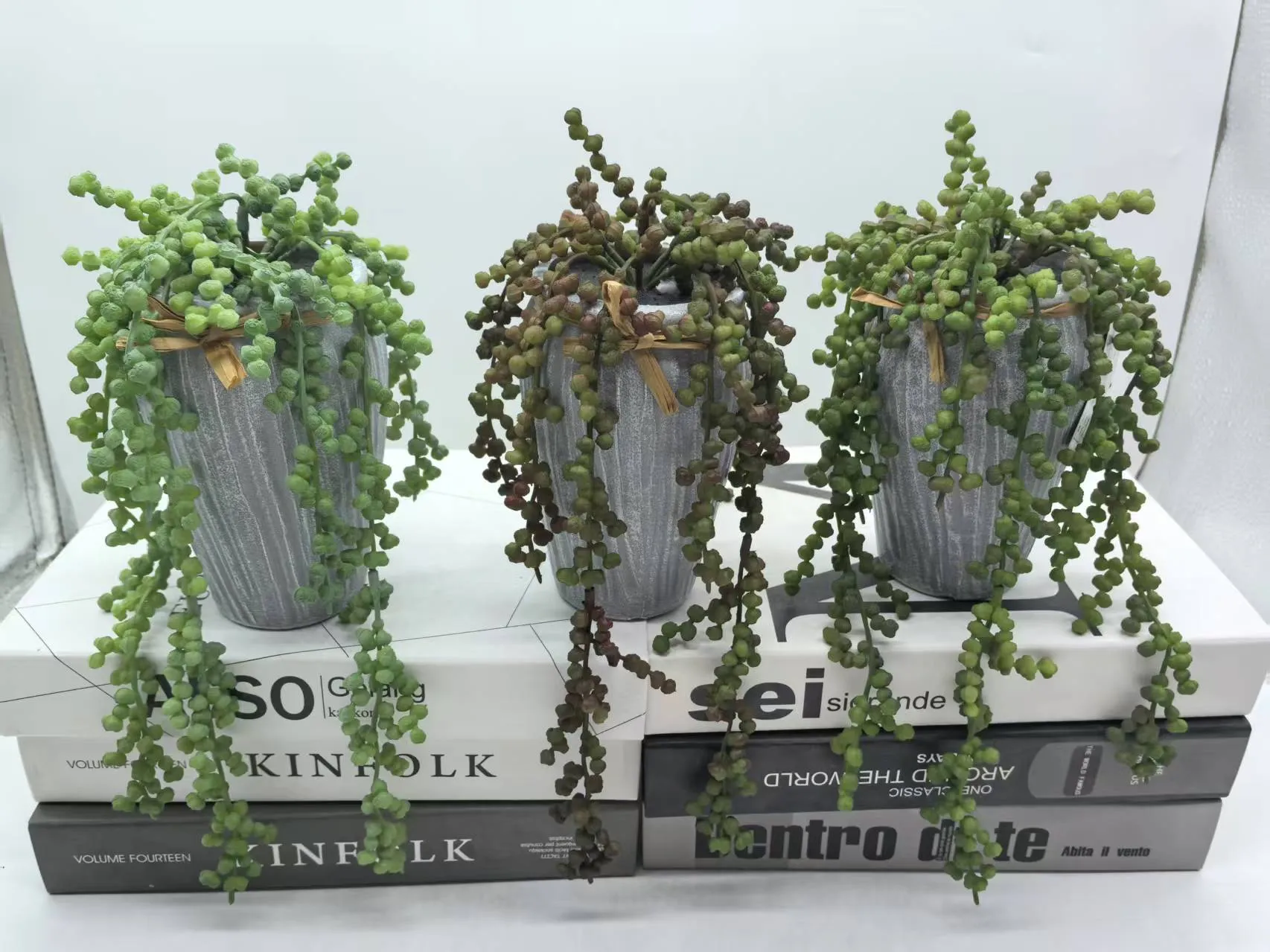 PZ-250017
情人豆 吹塑盆栽