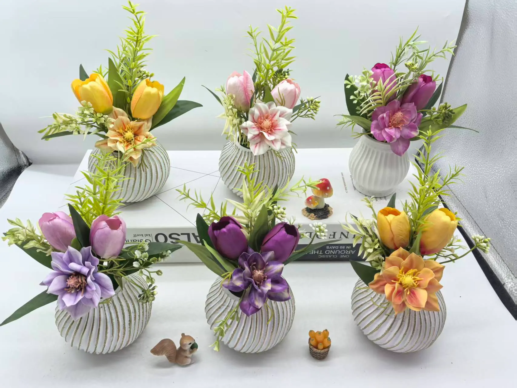 26-008新莺草菊木兰