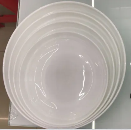 10" soup plate