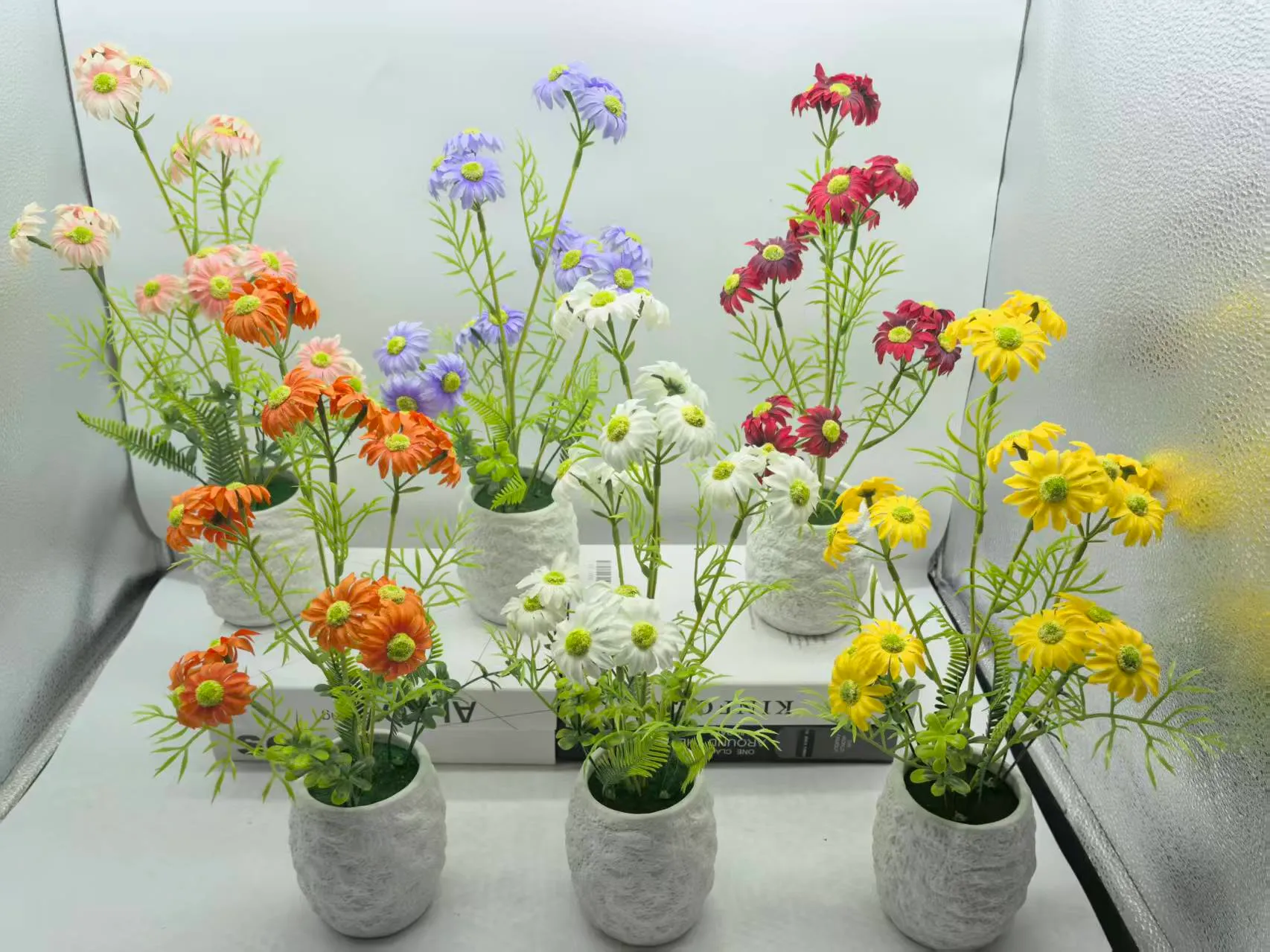 2头牡丹
塑料盆